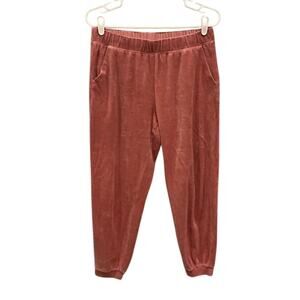 Banana Republic Womens Velour Jogger Size Small Leisure Casual Comfy Pink Velvet